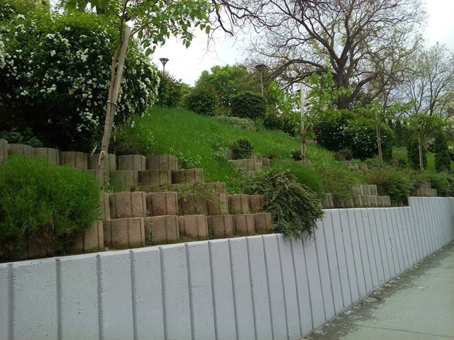 novi-pravila-za-zastita-na-urbanoto-zelenilo-1