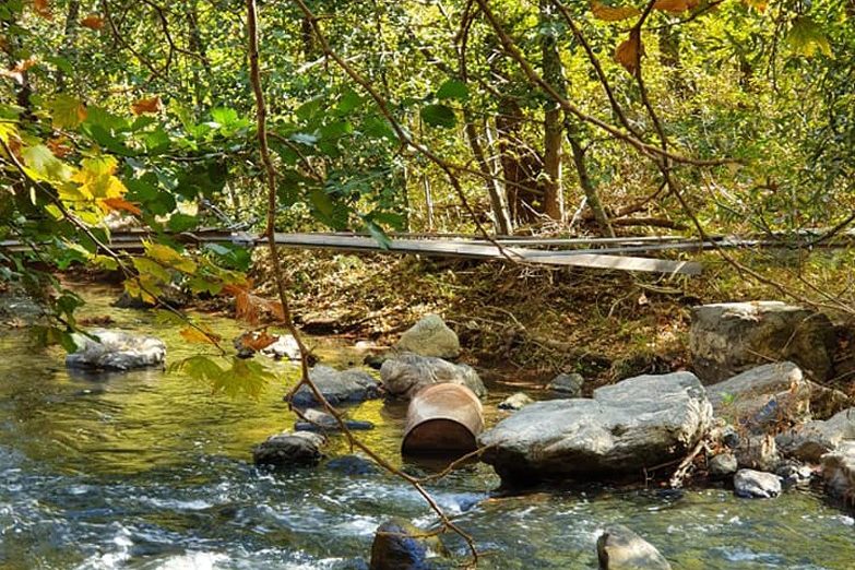 73349374_10214784466185587_5153372241601232896