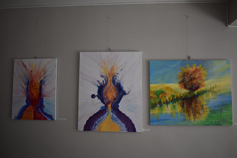 izlozhba_na_umetnichki_dela_od_likovna_kolonija_negotino_vo_likoven_salon_vo_veles-3