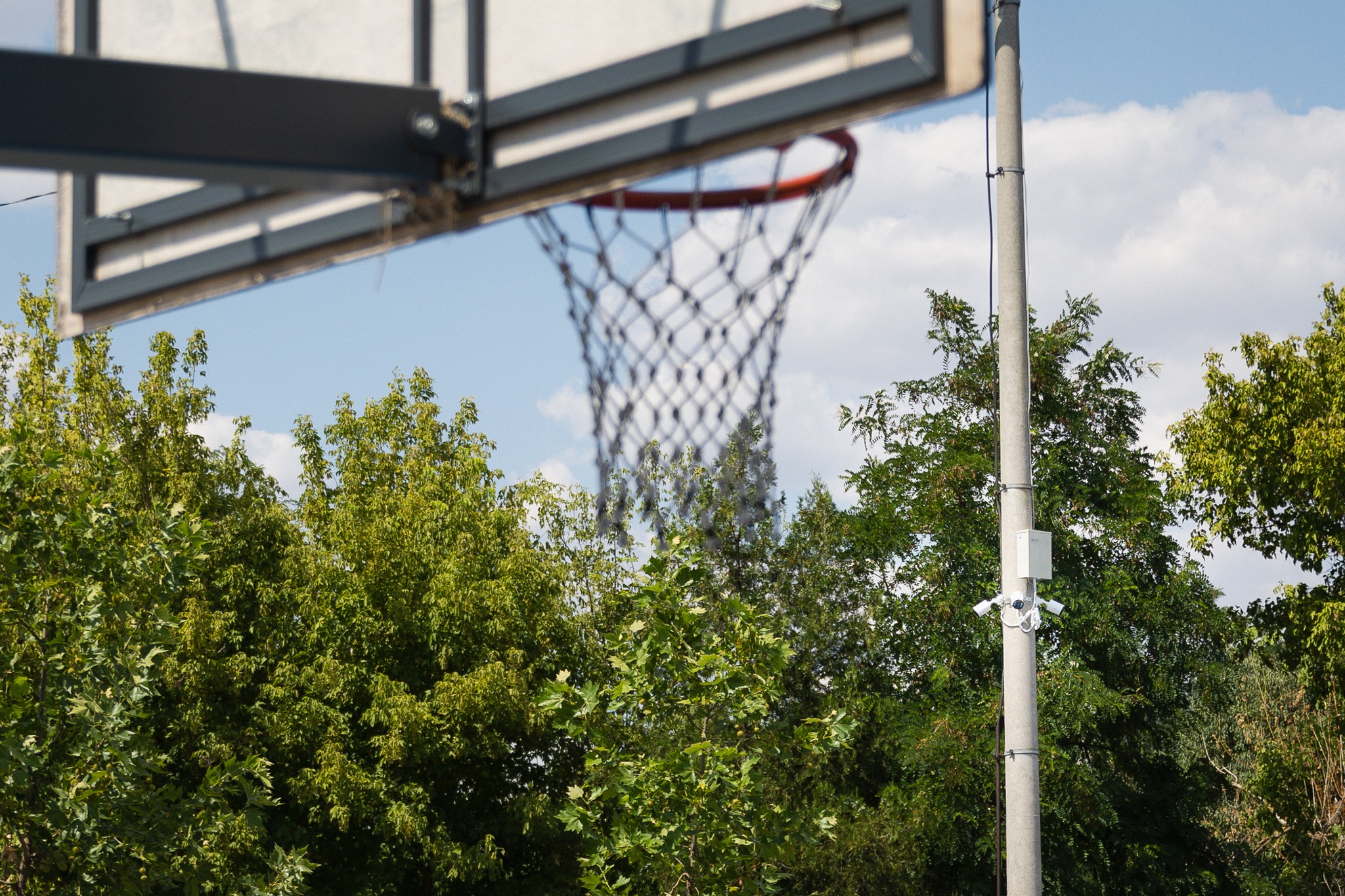 514407866_727073056376653_1835277660564139274_n